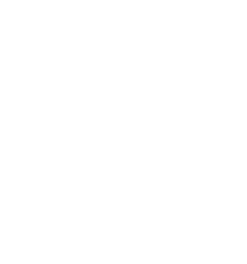 Elite Moving Crew logo